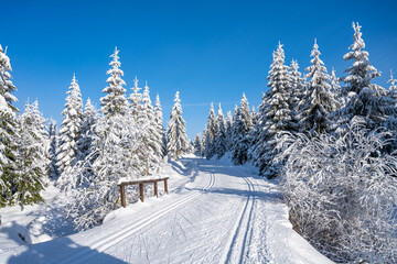 Cross country skiing track on sunny winter day