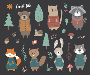 Cute Animals in clothes. Cartoon forest wildlife animals collection, fox, wolf, bear, beaver, raccoon, rabbit and wild cat. Vector illustration