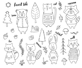 Cute Animals in clothes. Cartoon forest wildlife animals collection, fox, wolf, bear, beaver, raccoon, rabbit and wild cat. Vector illustration