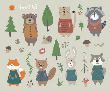 Cute Animals in clothes. Cartoon forest wildlife animals collection, fox, wolf, bear, beaver, raccoon, rabbit and wild cat. Vector illustration