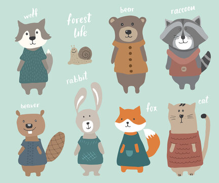 Cute Animals in clothes. Cartoon forest wildlife animals collection, fox, wolf, bear, beaver, raccoon, rabbit and wild cat. Vector illustration