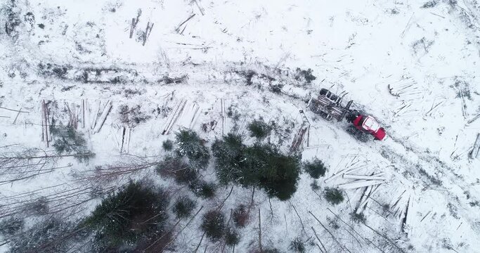An aerial view of a small clear-cut area after deforestation with a red forwarder collecting timber on winter day in European forest, Estonia.