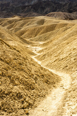 Winding Trail Through Golden Canyon