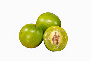 Ripe umbu (Spondias tuberosa) fruits isolated on white background