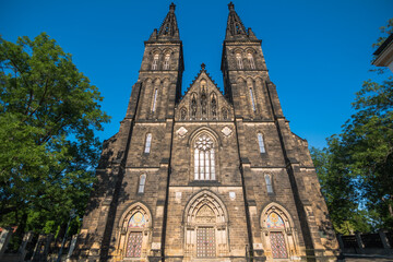 Fototapeta na wymiar Exterior view of Basilica of St. Peter and St. Paul - Prague, Czech Republic
