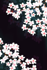 桜　春　花　背景 