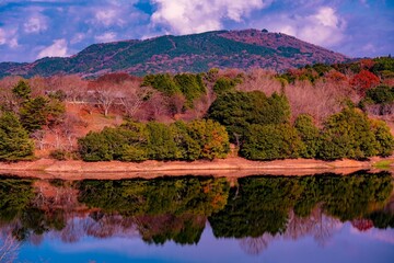 大分農業文化公園