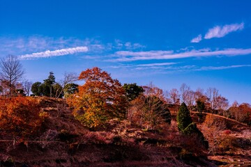 大分農業文化公園