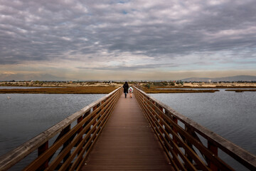 wooden bridge over lake