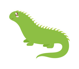 nice baby iguana