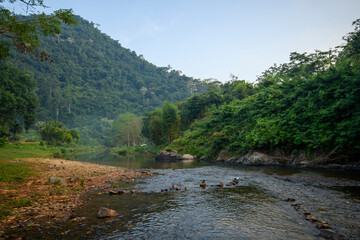 Beautiful field with a small river 