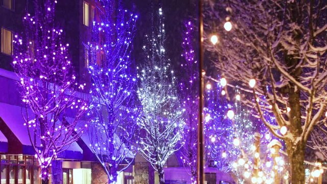 Snow Falling On Trees Decorated With Colourful Christmas Lights