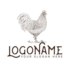 Fototapeta na wymiar Chicken rooster cock farm logo design template