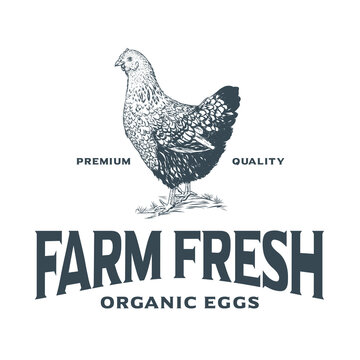 Chicken farm rustic logo design template
