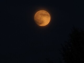 moon