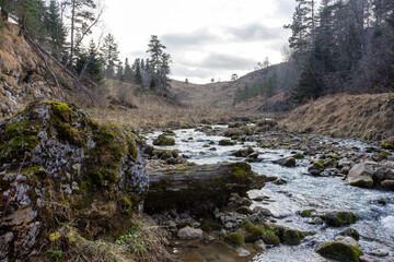 traveling along the bed of a mountain river, an autumn day, nature is preparing for winter hibernation.