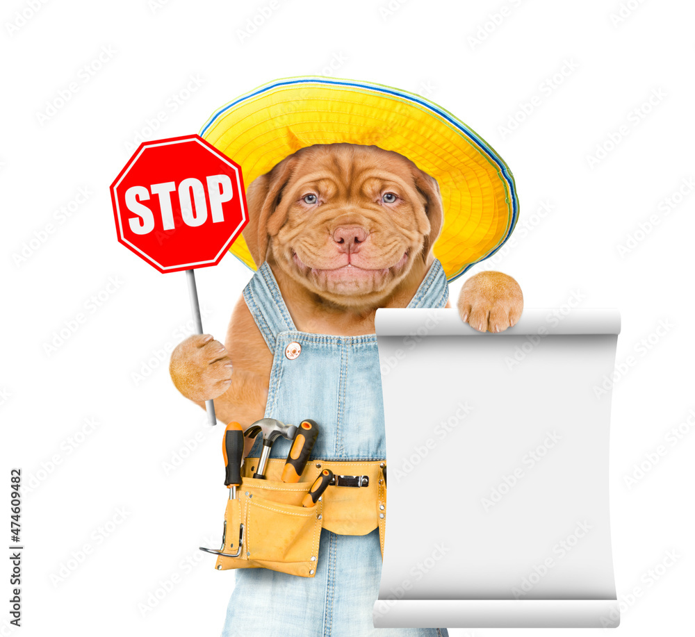 Poster Smiling puppy wearing overalls with tool belt shows stop sign and empty list. Isolated on white background