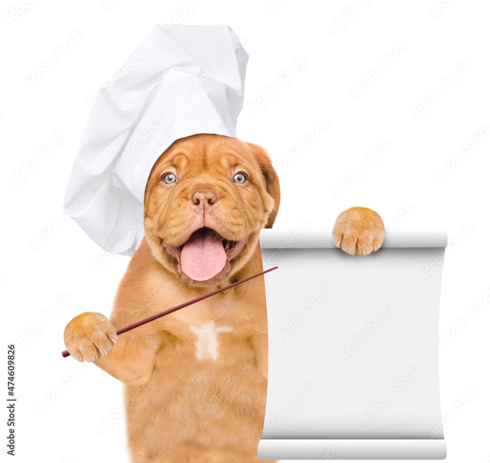 Poster happy mastiff puppy wearing chef's hat points on empty list. isolated on white background
