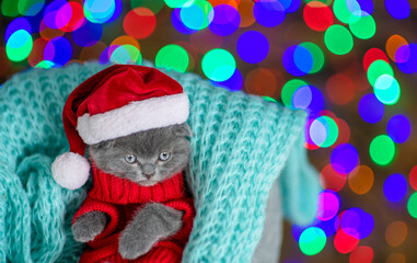 Cute kitten wearing warm sweater  and santa hat lies inside a basket. Top down view. Empty space for text
