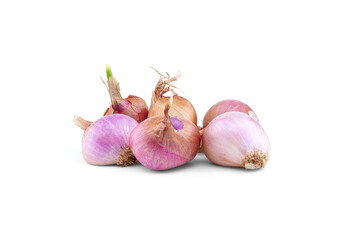 Shallot Red Vegetable white background isolated Clipping Path