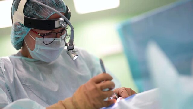 modern endoscopic endonasal treatment, surgeon is correcting nasal septum of patient