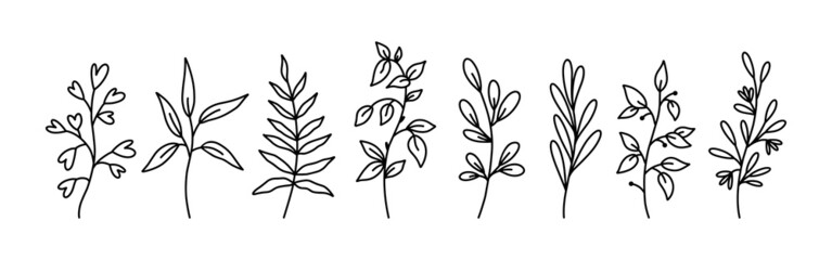 Botanical floral doodles isolated on white background. Set of abstract twigs with leaves of different shapes. Hand-drawn vector illustration. Perfect for cards, invitations, decorations.