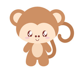 nice baby monkey