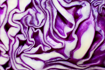 Obraz premium Red cabbage shot close-up, Beautiful texture in section