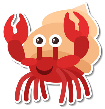 Hermit crab animal cartoon sticker