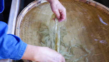 手漉き和紙の原料