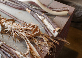 手漉き和紙の原料