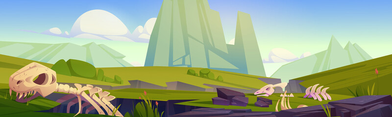 Prehistoric landscape, cartoon scenery background with dinosaur skeletons lying on green field, dino fossils on grass at mountain scenery view under blue sky, end of Jurassic era, Vector illustration © klyaksun