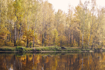 Landscape is a small pond and an autumn orange forest. Front view.