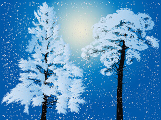Obraz na płótnie Canvas two winter firs on blue background