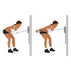 Fototapeta premium Woman doing Cable triceps kickbacks exercise. Flat vector illustration isolated on white background