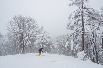 山スキー　新雪滑降