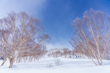 山スキー　シール登高