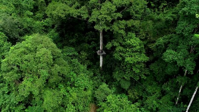 Aerial Shot Of A Zip Wire Adventure Trail In A Forest In Costa Rica