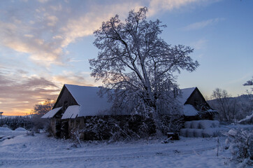 Ruiny gospodarstwa rolnego  © wedrownik52