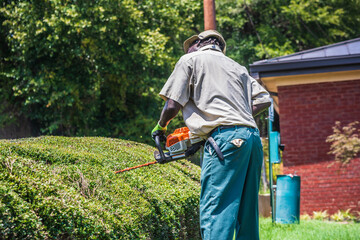 A landscaper using a gas-powered hedge trimmer tool to carefully prune and shape the bushes in a...