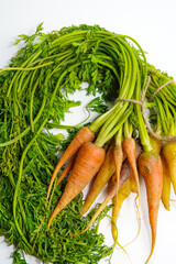 Fresh carrot on white background,raw material for cooking. Close up.