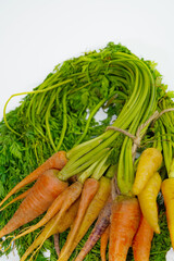 Fresh carrot on white background,raw material for cooking. Close up.