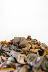 Fresh wood ear nushroom on white background,raw material for cooking. Close up.