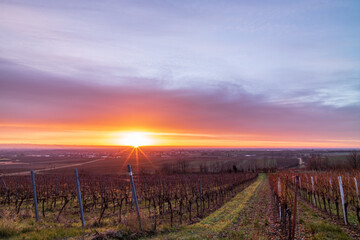 Obraz premium sonnenaufgnag über der rheinebene bei herxheim