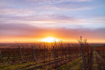 Obraz premium sonnenaufgnag über der rheinebene bei herxheim