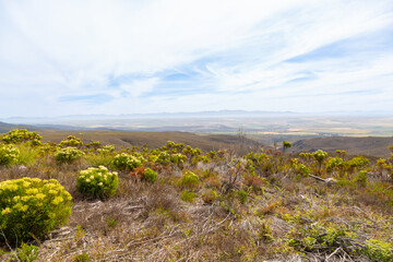 Landscape near Napier in the Western Cape of South Africa