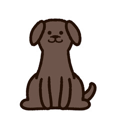 かわいいラブラドール・レトリバー　茶色