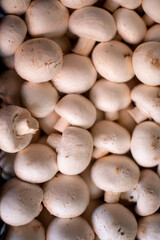 Champignons lying in a box. Mushroom background.