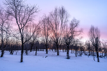 Winter scenery of the North Lake National Wetland Park in Changchun, China under the sunset