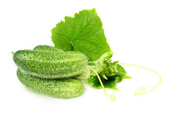 cucumbers with foliage isolated on white